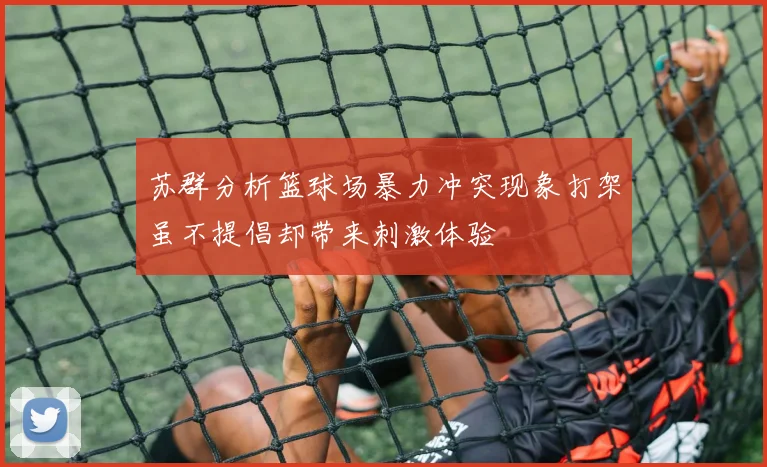 苏群分析篮球场暴力冲突现象打架虽不提倡却带来刺激体验